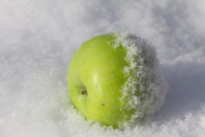 Kış Aylarında Sağlıklı Beslenmenin Önemi